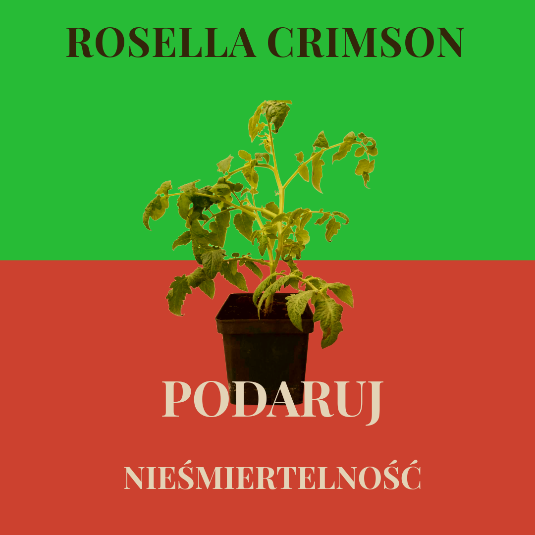 Tomato Rossella